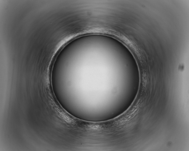 X0000100961230200807011324