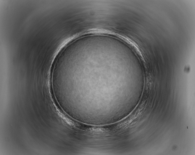 X0000100961231200807011324