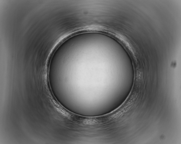 X0000100961232200807011324