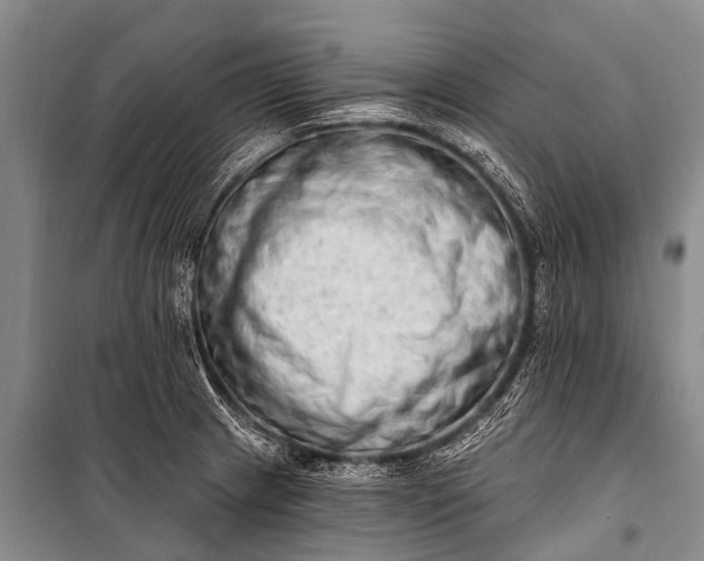 X0000100961233200807011324