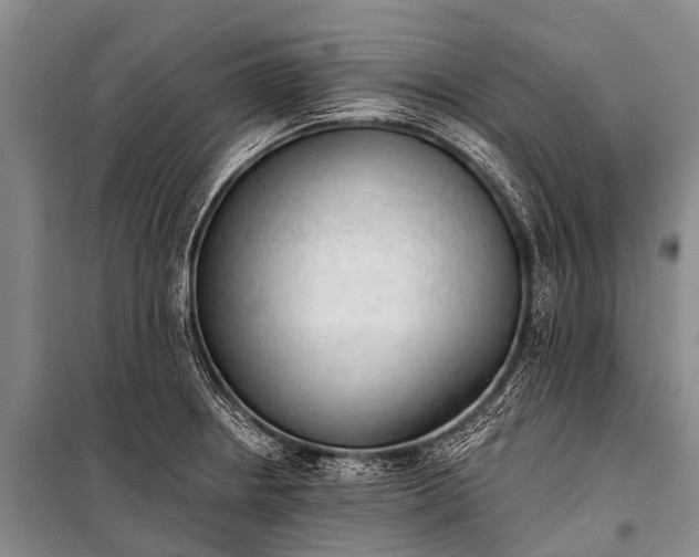 X0000100961234200807011324