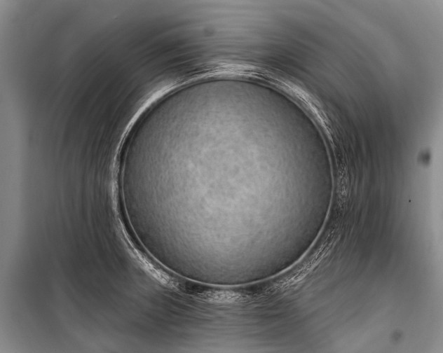 X0000100961235200807011324