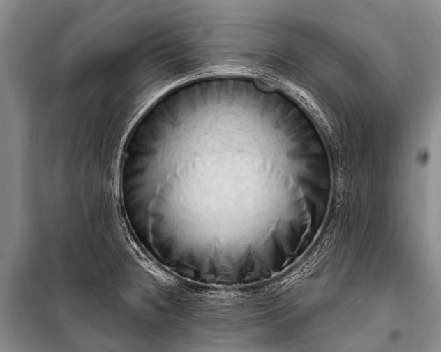 X0000100961236200807011324