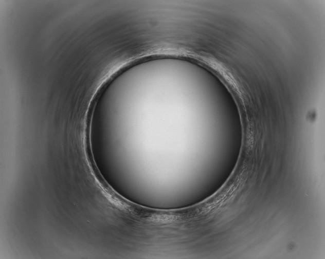 X0000100961237200807011324