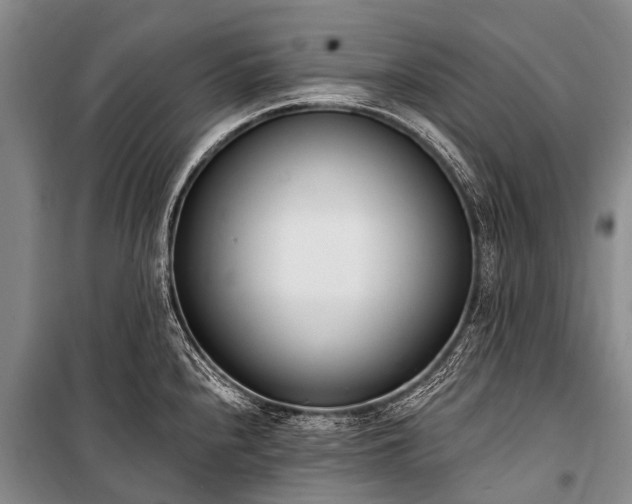 X0000100961240200807011324