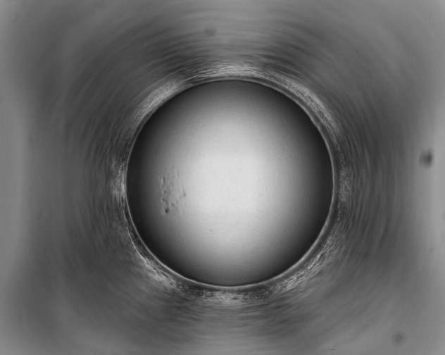 X0000100961241200807011324