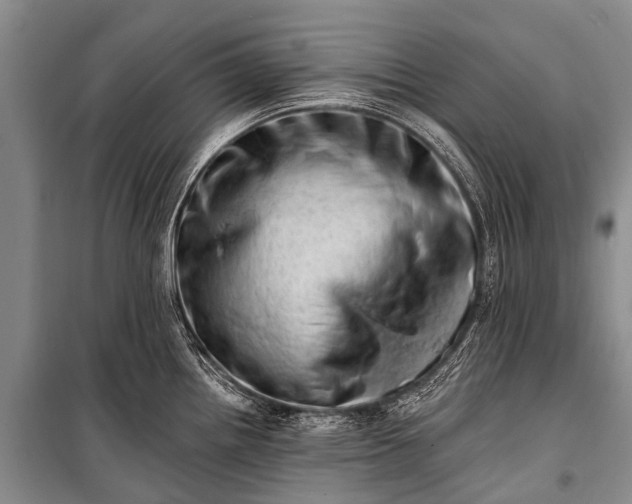 X0000100961242200807011324