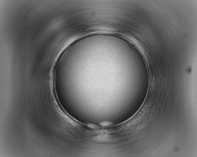 X0000100961243200807011324