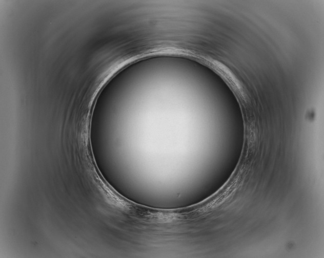 X0000100961244200807011324