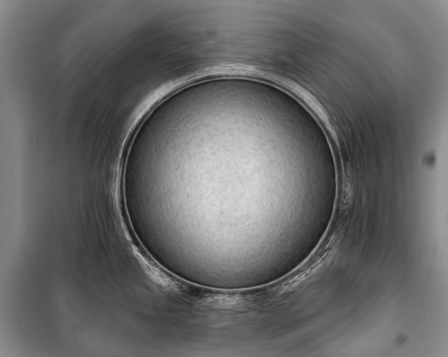 X0000100961245200807011324