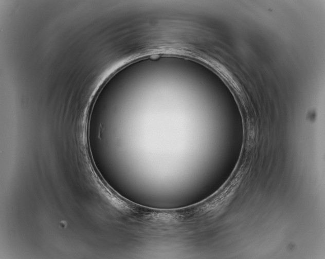 X0000100961246200807011324