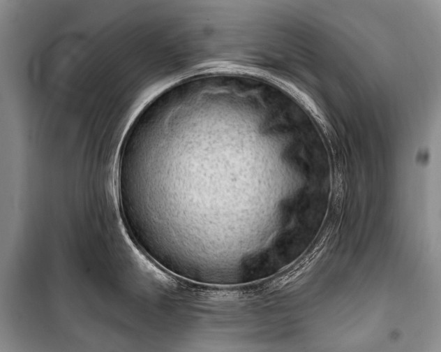 X0000100961247200807011324