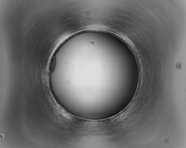 X0000100961248200807011324