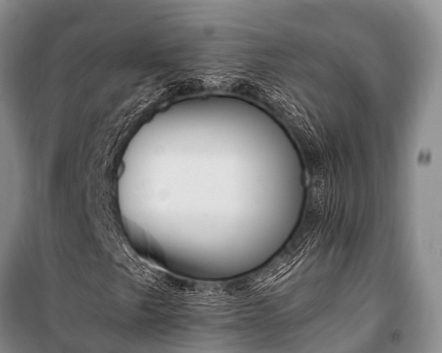 X0000100961249200807011324