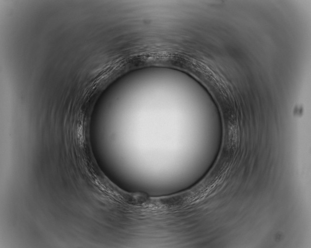 X0000100961250200807011324