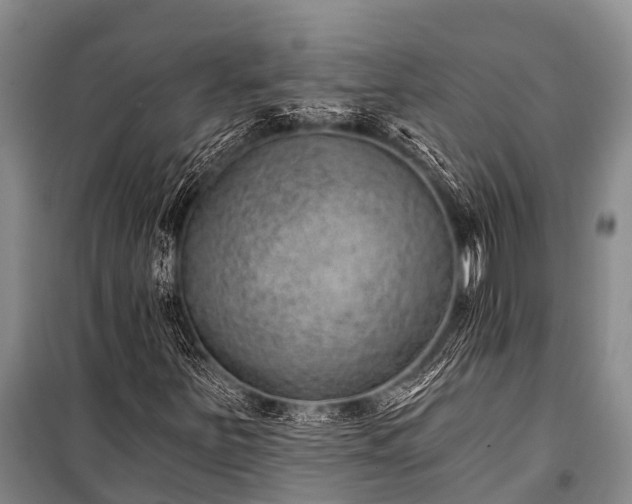 X0000100961251200807011324
