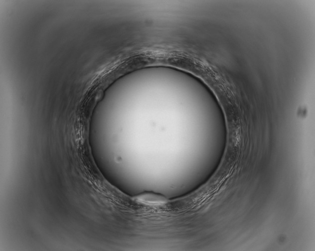 X0000100961253200807011324