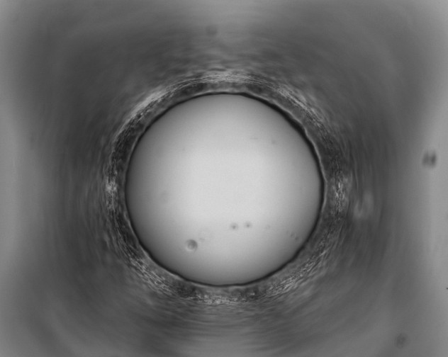 X0000100961254200807011324