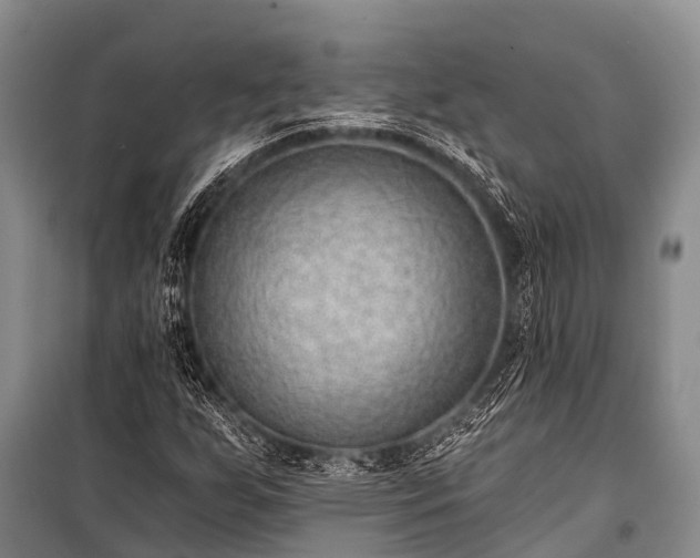 X0000100961255200807011324