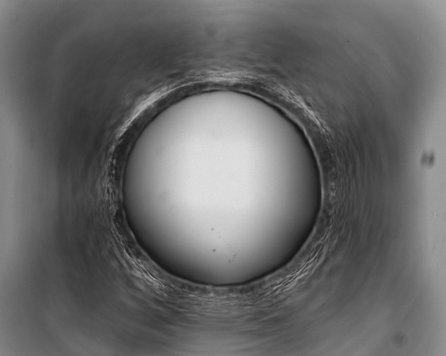 X0000100961256200807011324