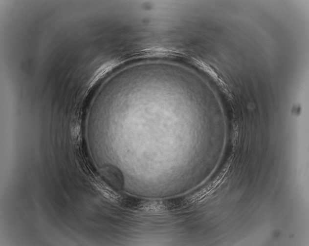 X0000100961259200807011324