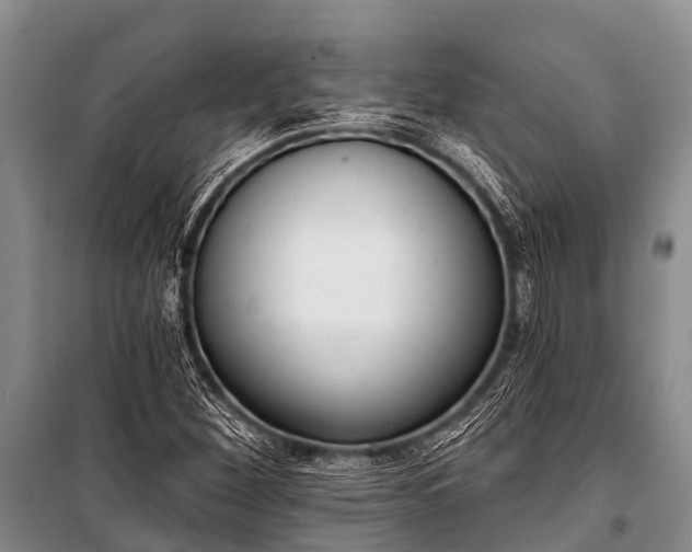 X0000100961260200807011324