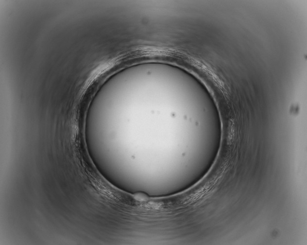 X0000100961261200807011324