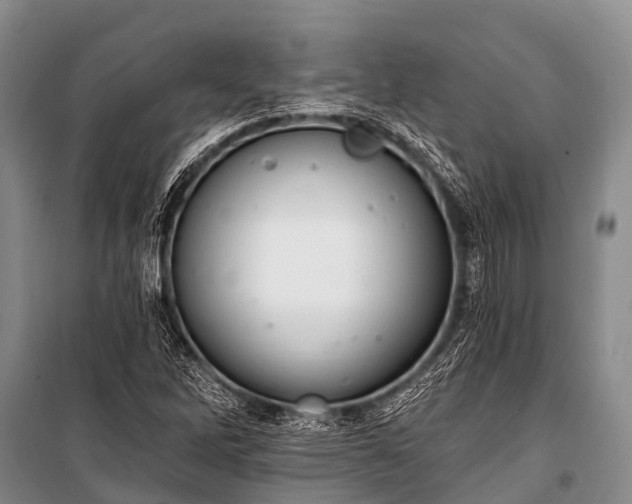 X0000100961262200807011324