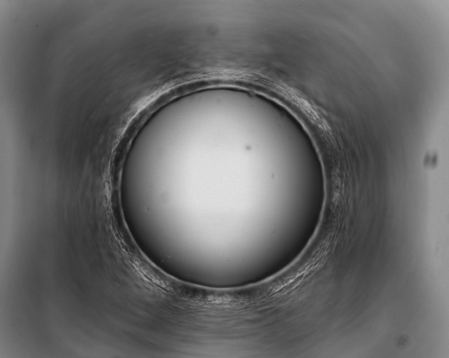 X0000100961264200807011324