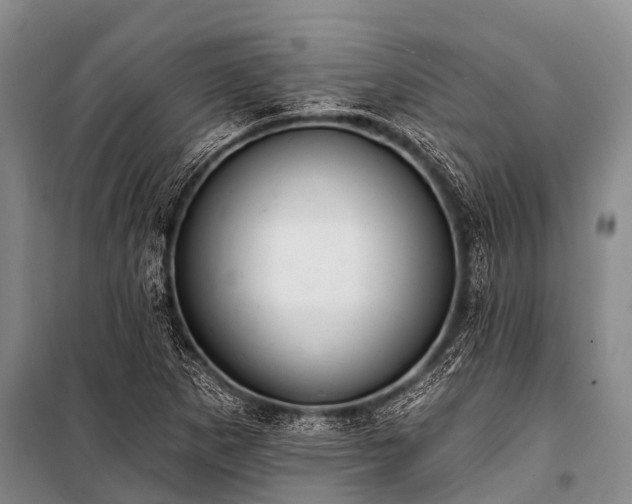 X0000100961265200807011324