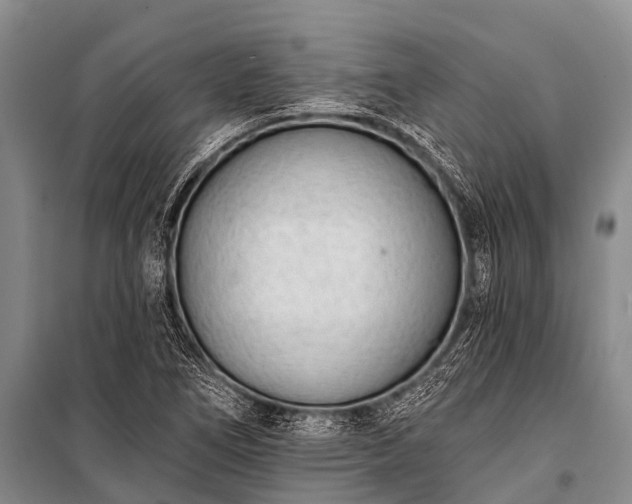 X0000100961266200807011323