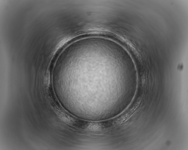 X0000100961267200807011323