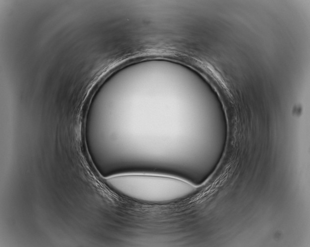 X0000100961268200807011323