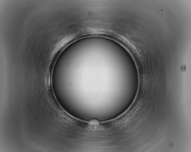 X0000100961269200807011323
