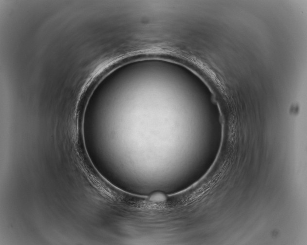 X0000100961270200807011323