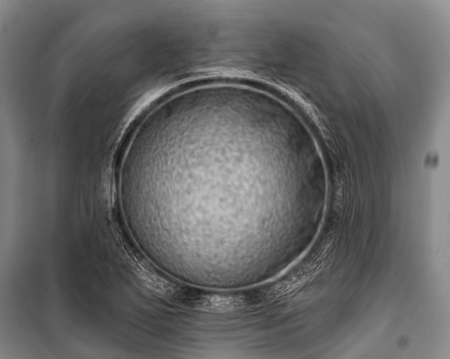 X0000100961271200807011323