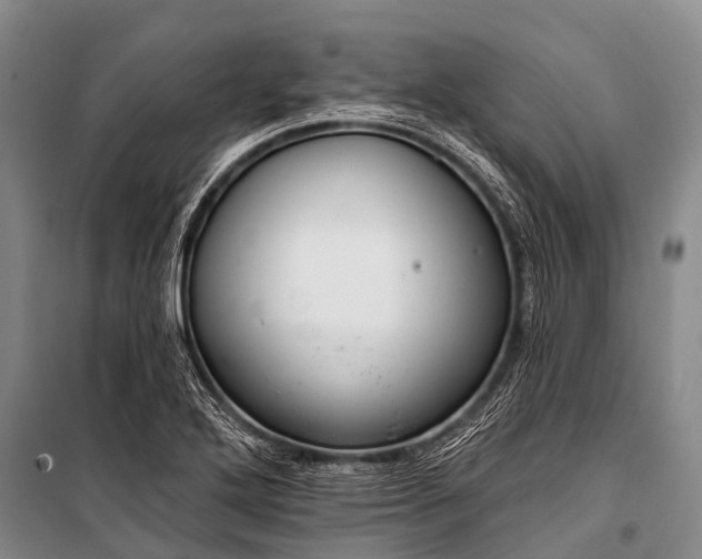 X0000100961272200807011323