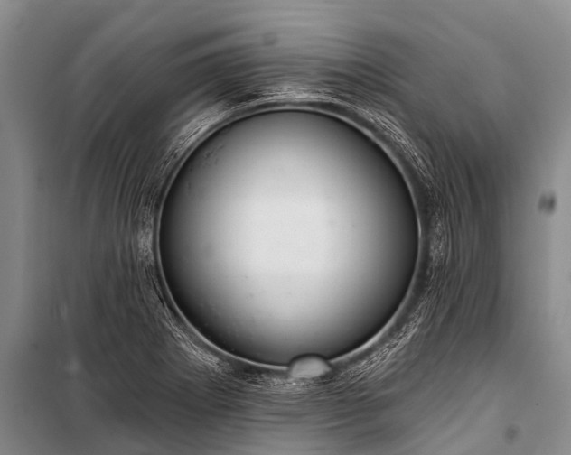 X0000100961273200807011323