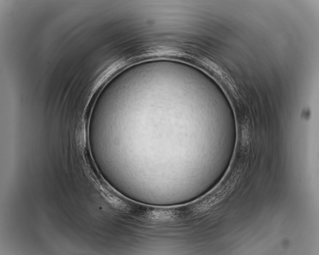 X0000100961274200807011323