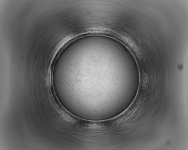 X0000100961275200807011323