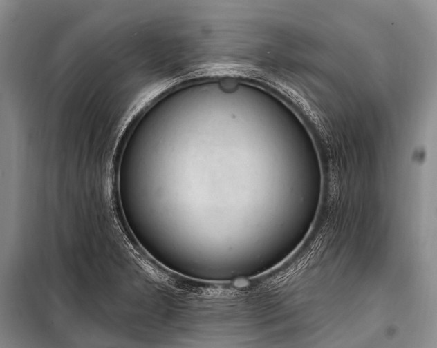 X0000100961277200807011323