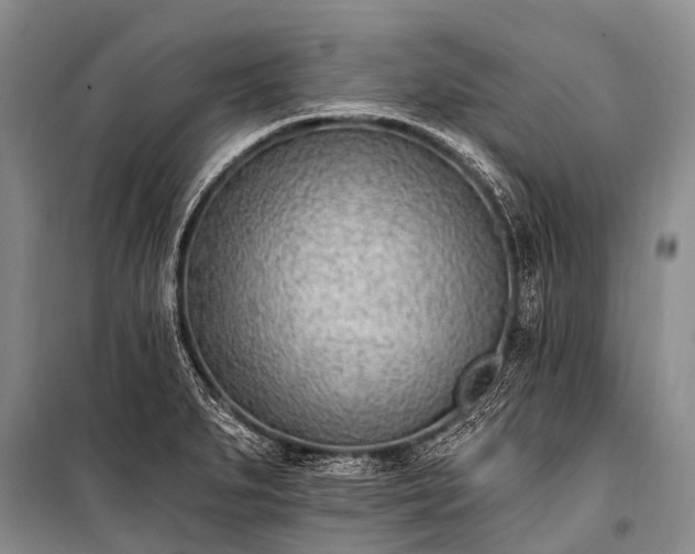 X0000100961279200807011323