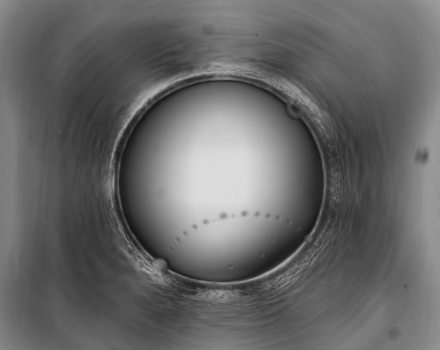 X0000100961280200807011323