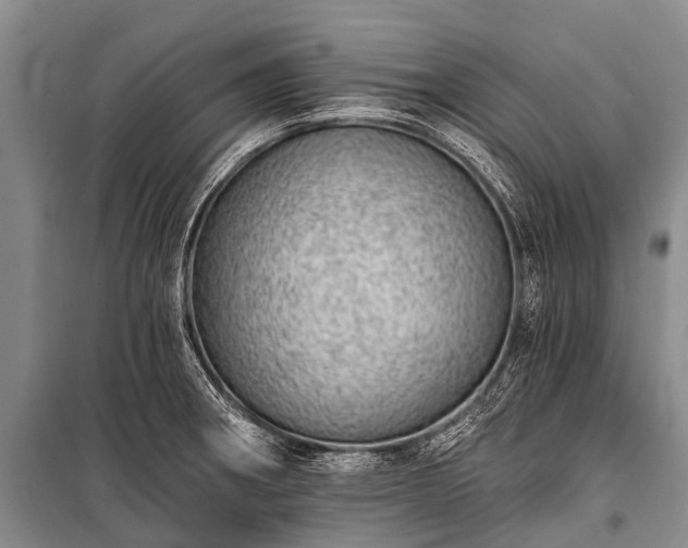 X0000100961282200807011323