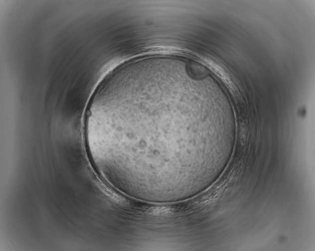 X0000100961283200807011323