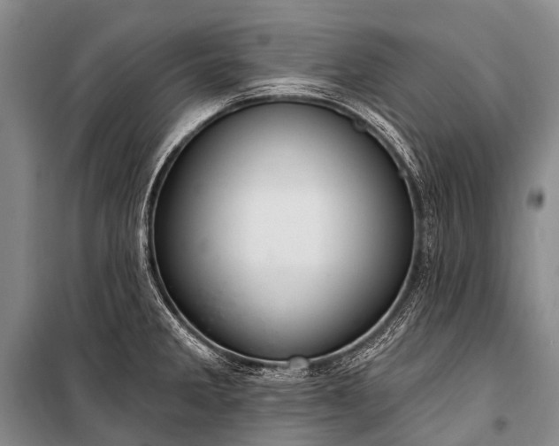 X0000100961285200807011323