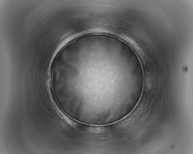 X0000100961286200807011323
