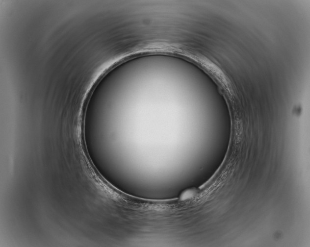 X0000100961288200807011323