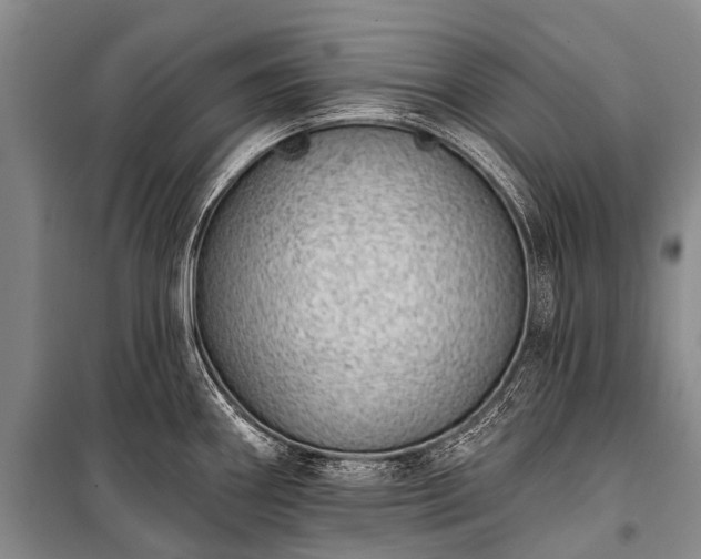 X0000100961290200807011323