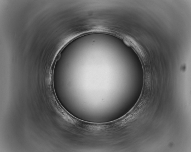 X0000100961292200807011323